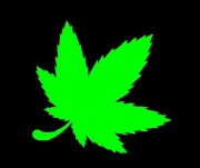 ȱʡ