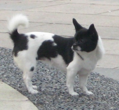 ��һ�¹ۿ�����ͼƬ
 ============== 
