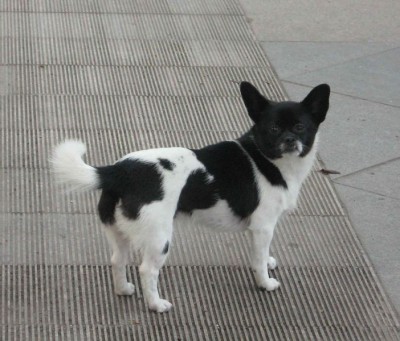 ��һ�¹ۿ�����ͼƬ
 ============== 
