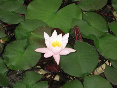 ��һ�¹ۿ�����ͼƬ
 ============== 
