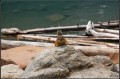 DSC_1124.jpg