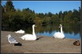DSC_2069.jpg