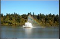 DSC_2082.jpg