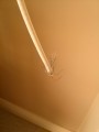 IMG_20130528_182738.jpg