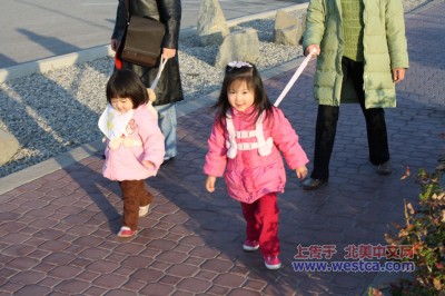 һ¹ۿͼƬ
 ============== 
ССţ
