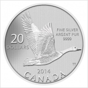 2014 Canada Goose.JPG