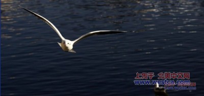 һ¹ۿͼƬ
 ============== 
