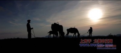 һ¹ۿͼƬ
 ============== 
