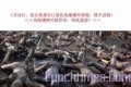 dajiyuan.jpg