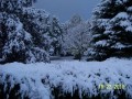 Snow in Wasaga Beach.jpg