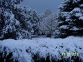 Snow in Wasaga Beach.jpg