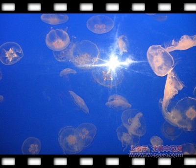 һ^DƬ
 ============== 
ظAˮ^
