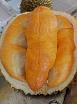 һ^DƬ
 ============== 
