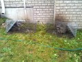 5e87838d7d83.jpg