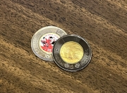 70304c37.jpg