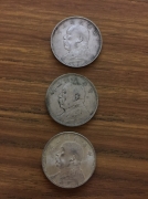 32513154.jpg
