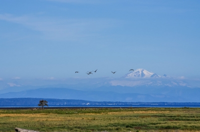 һ¹ۿͼƬ
 ============== 
