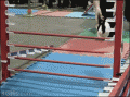 56725463.gif