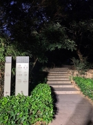 ϴ