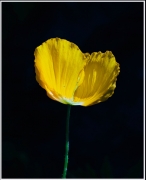 394f462f.jpg