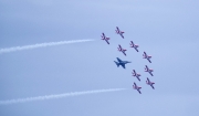 6d485870.jpg