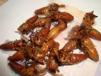 ��һ���^�������DƬ
 ============== 
