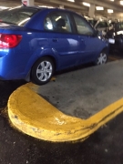 44715451.jpg