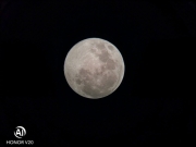4141414f.jpg