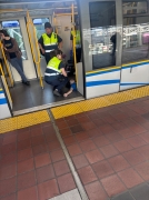 79413541.jpg