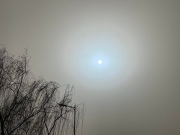4143304141433042.jpg