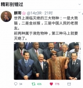 49516742.jpg