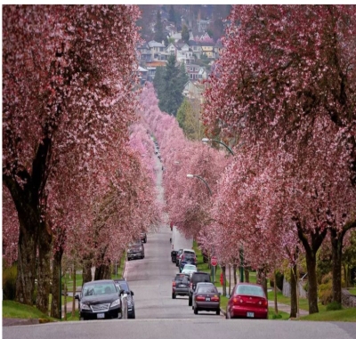 ��һ�¹ۿ�����ͼƬ
 ============== 
