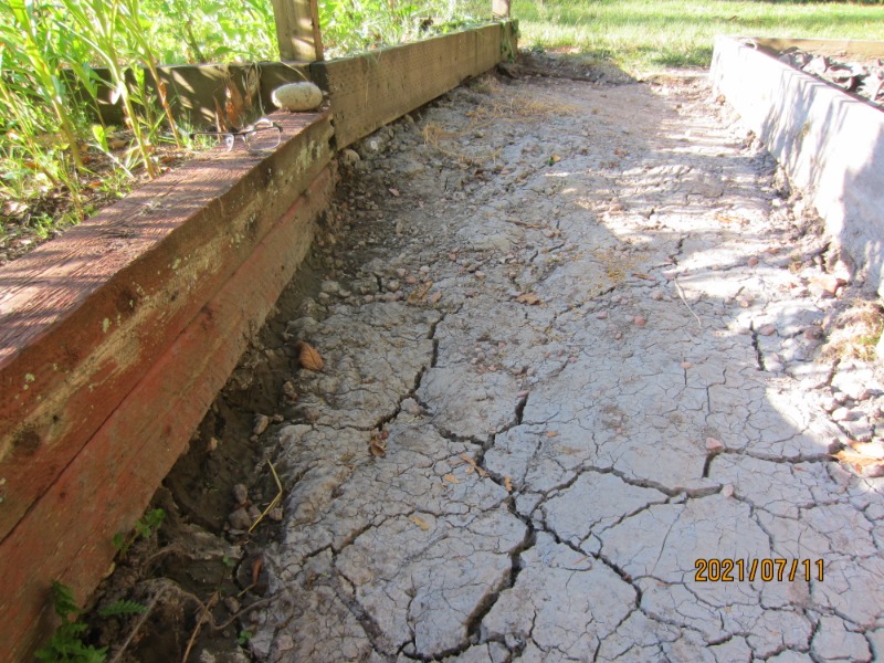 菜园土壤改良8月2日完成 粘土改良完整记录 静观云卷云舒