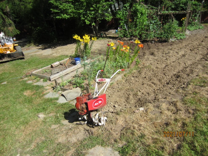菜园土壤改良8月2日完成 粘土改良完整记录 静观云卷云舒