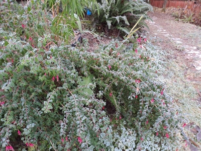 һ^DƬ
 ============== 
