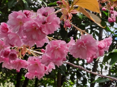 ��һ�¹ۿ�����ͼƬ
 ============== 
