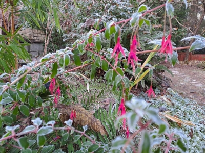 һ^DƬ
 ============== 
