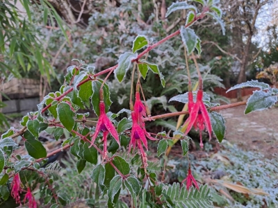 һ^DƬ
 ============== 
