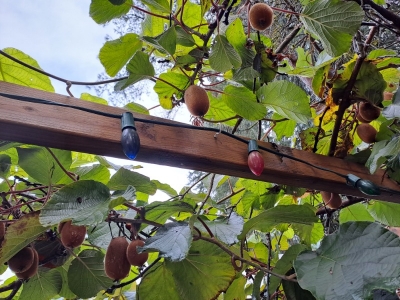 һ^DƬ
 ============== 
