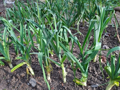 һ^DƬ
 ============== 
