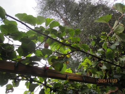 һ^DƬ
 ============== 
