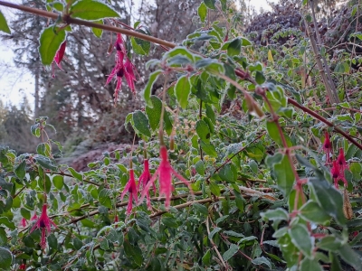 һ^DƬ
 ============== 
