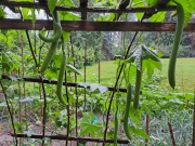316f6b70.jpg