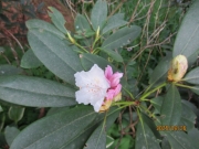63726c53.jpg