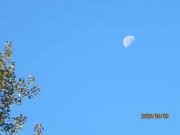 6b454253.jpg