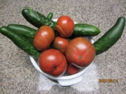 6b6d3476.jpg