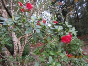 6c4f7446.jpg
