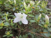 6c723143.jpg