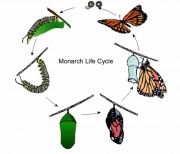 档名 : 4141414141414150.jpg
档案大小 : 61KB
维度 : 800x685
新增日期 : 十一月 13, 2025 4141414141414150.jpg
