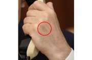 4149694941496995.jpg